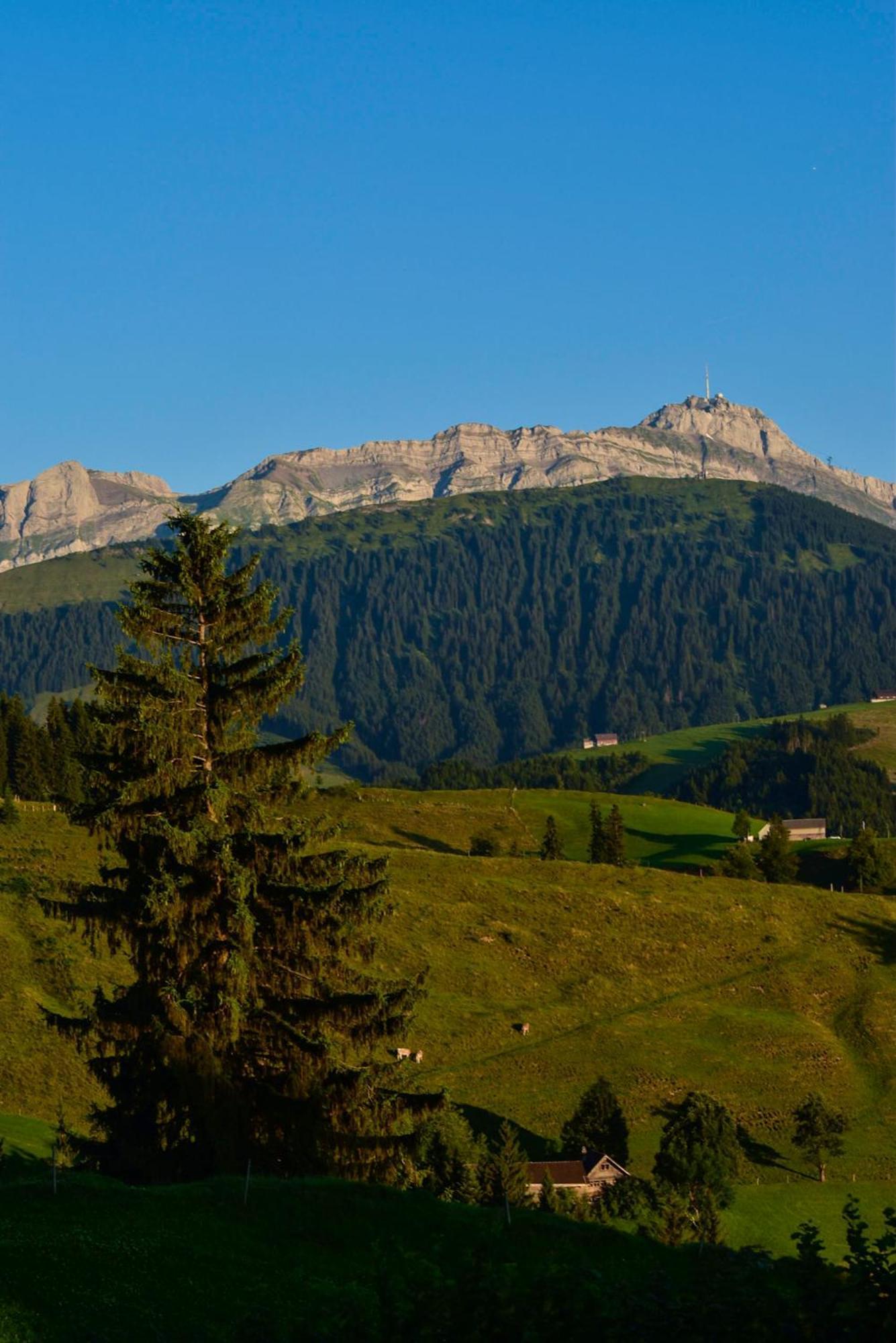 Ferienwohnung In Buehler Naehe Appenzell Buhler Extérieur photo